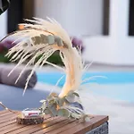 Sea And Sun 度假居 *